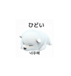 韓国語会話 サモエド犬KRJP nLz（個別スタンプ：13）