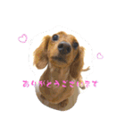 ありがとう:）（個別スタンプ：2）