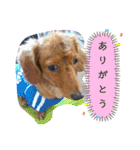 ありがとう:）（個別スタンプ：4）