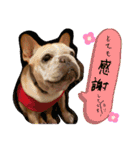 ありがとう:）（個別スタンプ：5）