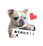 ありがとう:）（個別スタンプ：6）