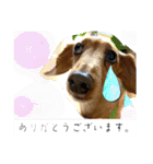 ありがとう:）（個別スタンプ：10）