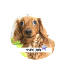 ありがとう:）（個別スタンプ：11）