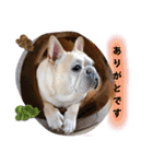 ありがとう:）（個別スタンプ：14）