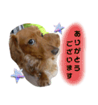 ありがとう:）（個別スタンプ：17）