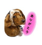 ありがとう:）（個別スタンプ：18）