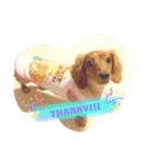 ありがとう:）（個別スタンプ：19）