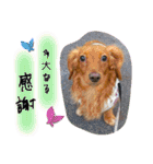 ありがとう:）（個別スタンプ：20）