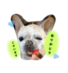 ありがとう:）（個別スタンプ：22）