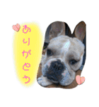 ありがとう:）（個別スタンプ：23）