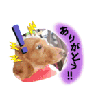 ありがとう:）（個別スタンプ：26）