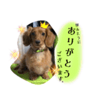 ありがとう:）（個別スタンプ：27）