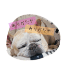 ありがとう:）（個別スタンプ：29）