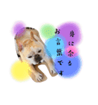 ありがとう:）（個別スタンプ：30）