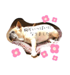ありがとう:）（個別スタンプ：32）