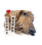 ありがとう:）（個別スタンプ：33）