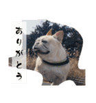 ありがとう:）（個別スタンプ：34）