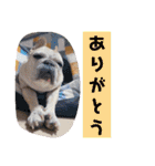 ありがとう:）（個別スタンプ：36）