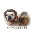 ありがとう:）（個別スタンプ：39）