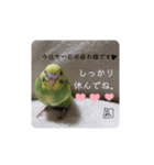 泉家のひと言（個別スタンプ：1）