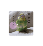 泉家のひと言（個別スタンプ：2）