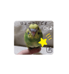 泉家のひと言（個別スタンプ：3）