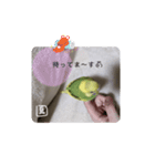 泉家のひと言（個別スタンプ：4）