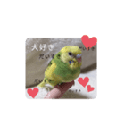 泉家のひと言（個別スタンプ：5）