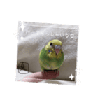 泉家のひと言（個別スタンプ：6）