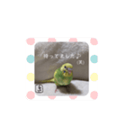泉家のひと言（個別スタンプ：8）