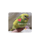 泉家のひと言（個別スタンプ：13）