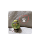 泉家のひと言（個別スタンプ：14）