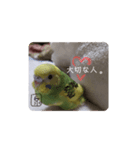 泉家のひと言（個別スタンプ：16）