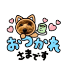 うちの愛犬(しえる)スタンプ（個別スタンプ：9）