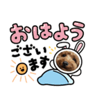 うちの愛犬(しえる)スタンプ（個別スタンプ：10）