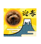 うちの愛犬(しえる)スタンプ（個別スタンプ：14）