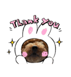 うちの愛犬(しえる)スタンプ（個別スタンプ：16）