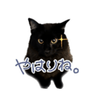ハチワレ虎太郎と黒猫朔丸の日常会話（個別スタンプ：26）