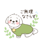 冬・年末年始☆マルチーズ犬ちゃん（個別スタンプ：13）