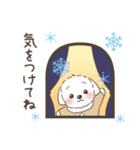 冬・年末年始☆マルチーズ犬ちゃん（個別スタンプ：24）