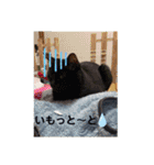 はるぴっぴ 時々ねこ（個別スタンプ：6）