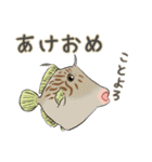 色んな魚介と年末年始のご挨拶（個別スタンプ：37）