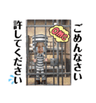 れおくんとはるとくん（個別スタンプ：11）