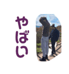 たいしょうぐみ（個別スタンプ：3）