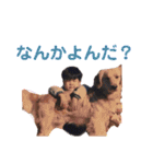 たいしょうぐみ（個別スタンプ：23）