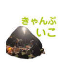 たいしょうぐみ（個別スタンプ：30）