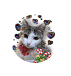 クリスマスとお正月保護猫スタンプ（個別スタンプ：3）