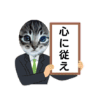 クリスマスとお正月保護猫スタンプ（個別スタンプ：12）