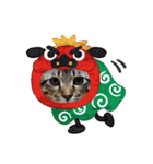 クリスマスとお正月保護猫スタンプ（個別スタンプ：14）