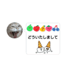 クリスマスとお正月保護猫スタンプ（個別スタンプ：23）